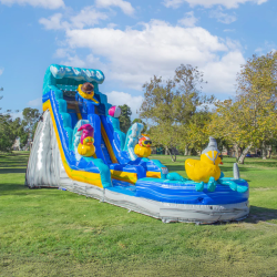 19ft Duck Slide