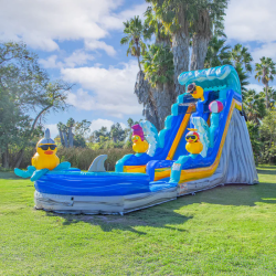 19ft Duck Slide