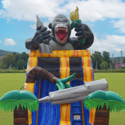 19ft Gorilla Slide Wet