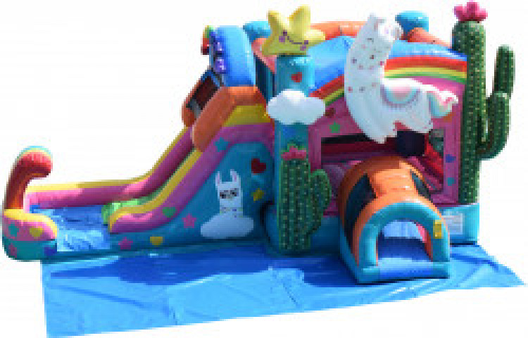 Bounce House with Slide Rentals